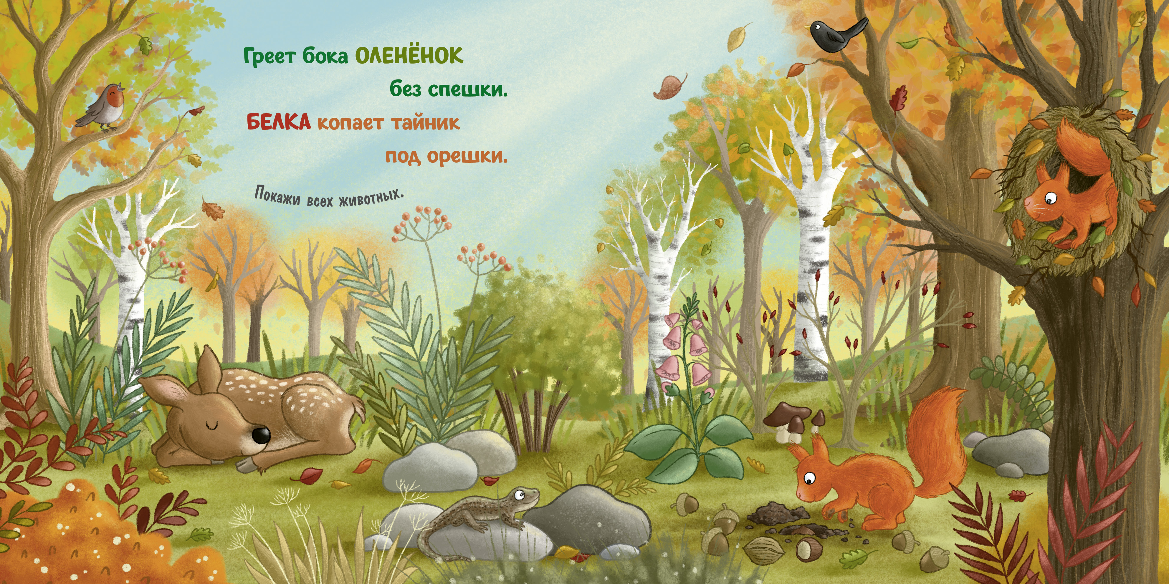 Осень в лесу Clever Книжки-картонки - фото 6