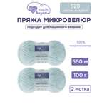 Пряжа для вязания Микровелюр Люблю Вязать 100г 550м 2шт