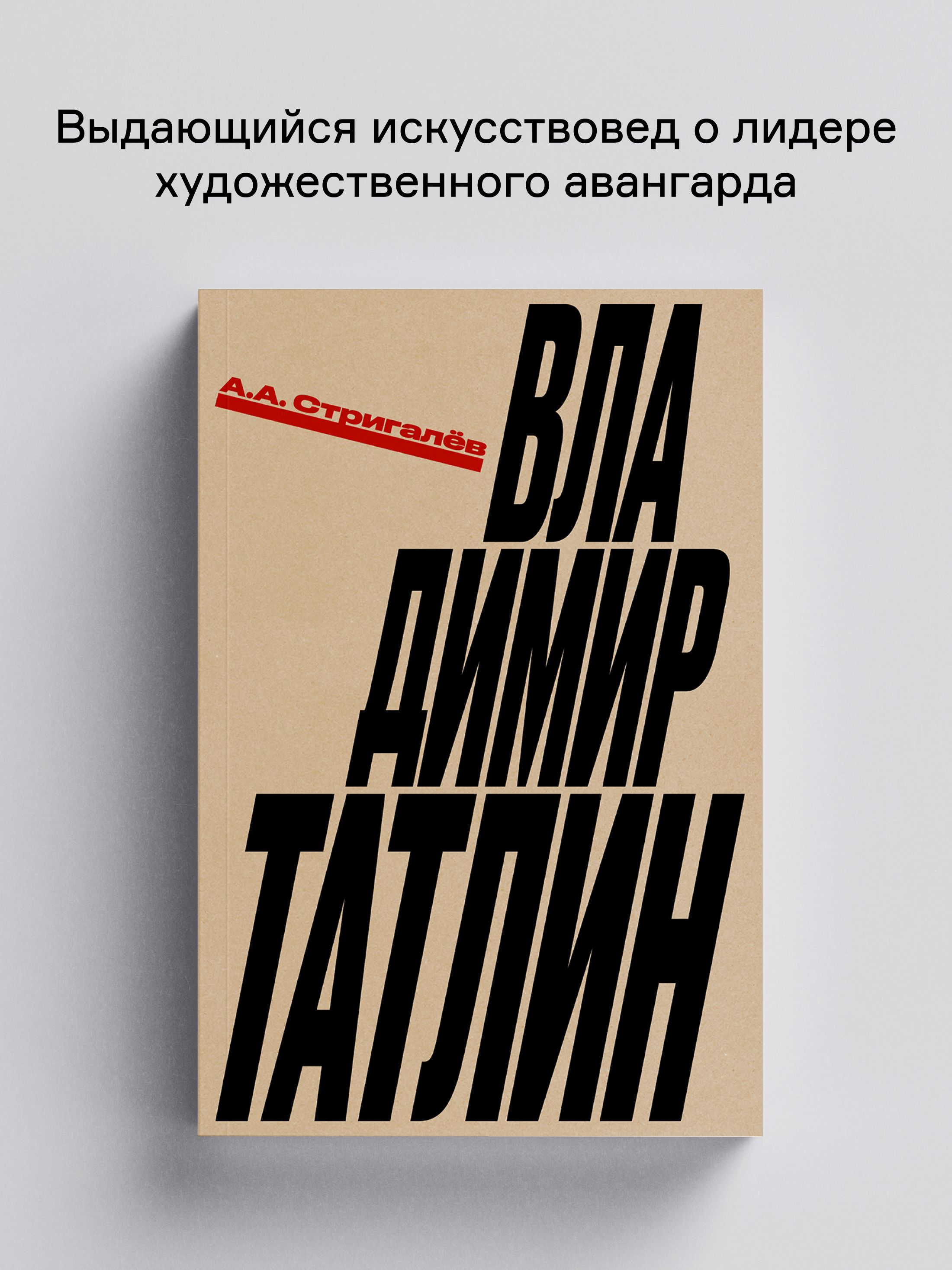 Книга Ad Marginem Владимир Татлин - фото 1