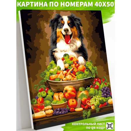 Картина по номерам Art on Canvas Богатый урожай в ассортименте
