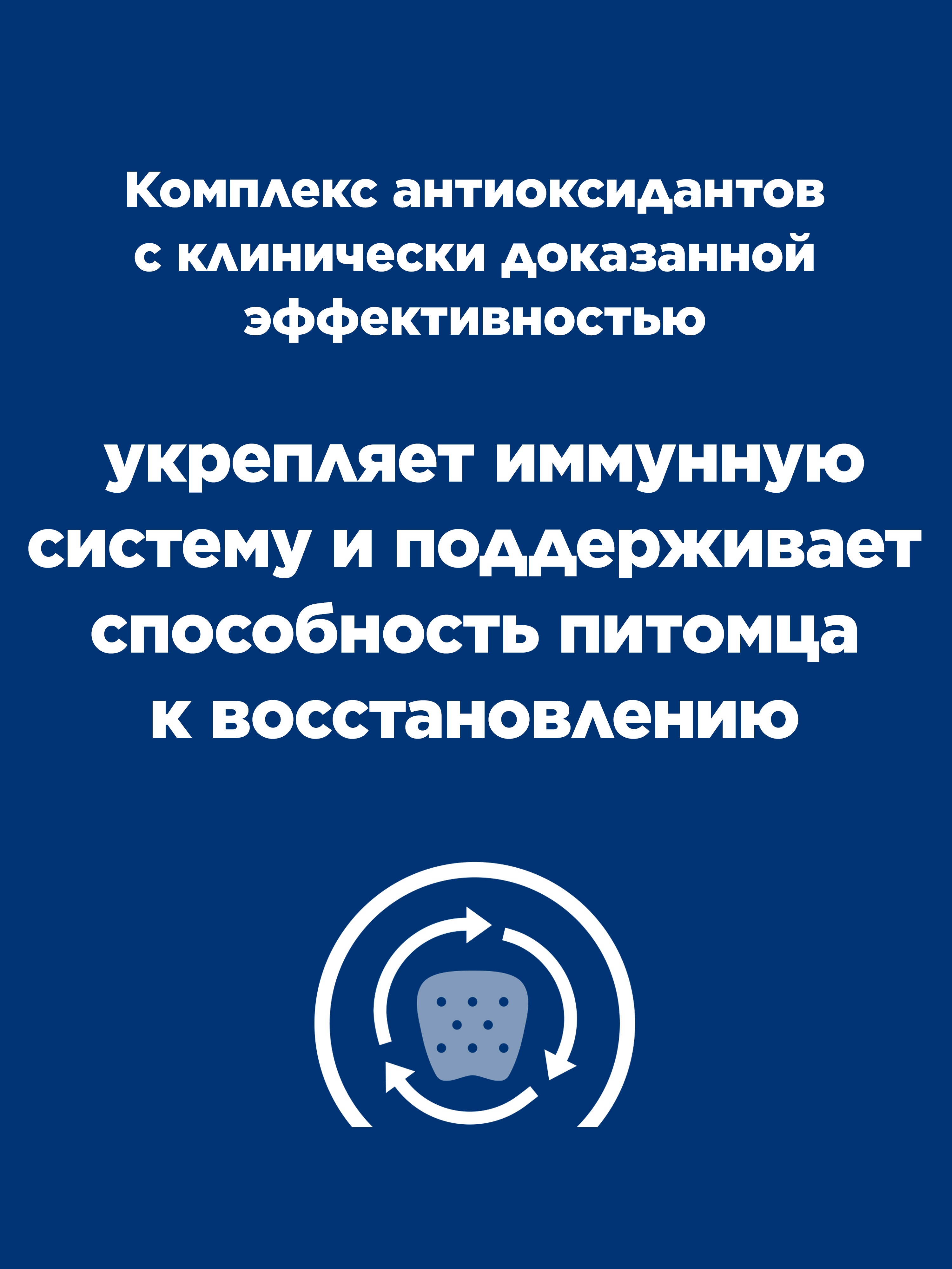 Корм для кошек и собак HILLS 200г Prescription Diet a/d при реабилитации после болезней диетические консервы с курицей - фото 3