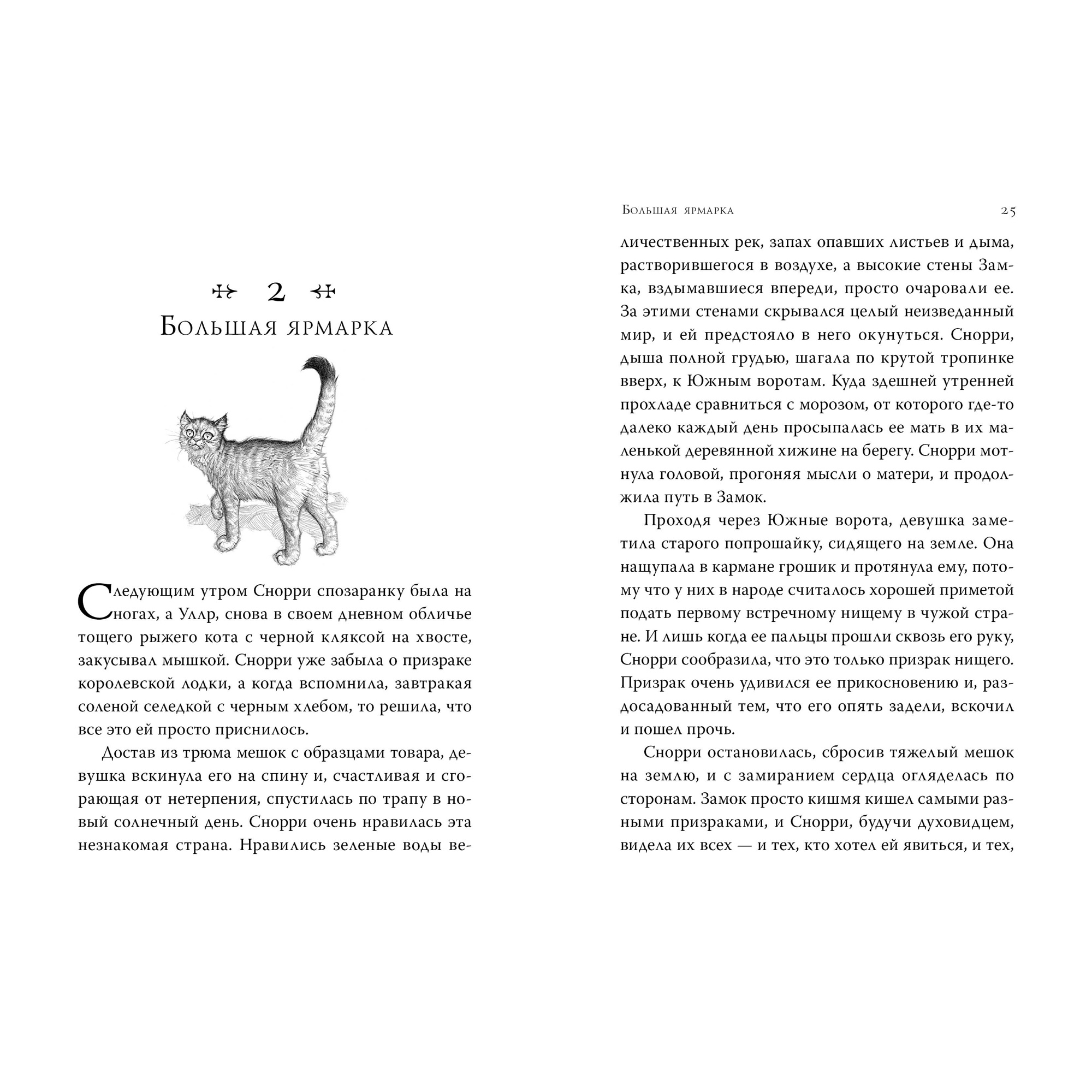 Книга АЗБУКА Септимус Хип. Книга 3. Эликсир жизни - фото 3