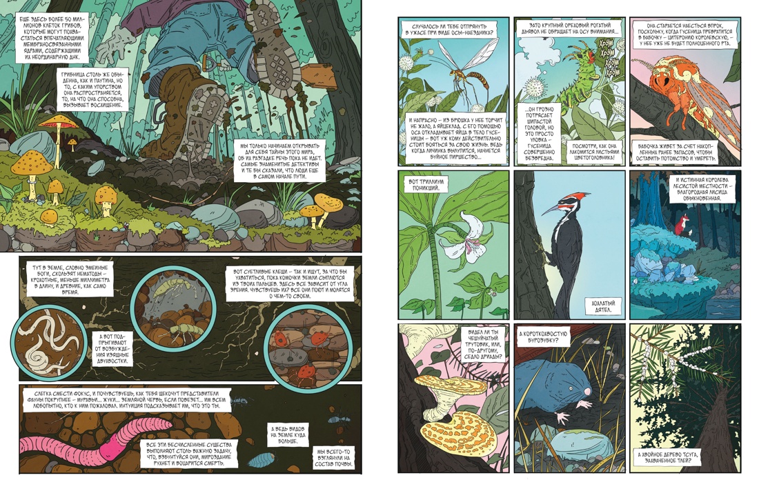 Книга АЗБУКА Графические романы Блай О Рыцарь гриб Кн 1 - фото 9