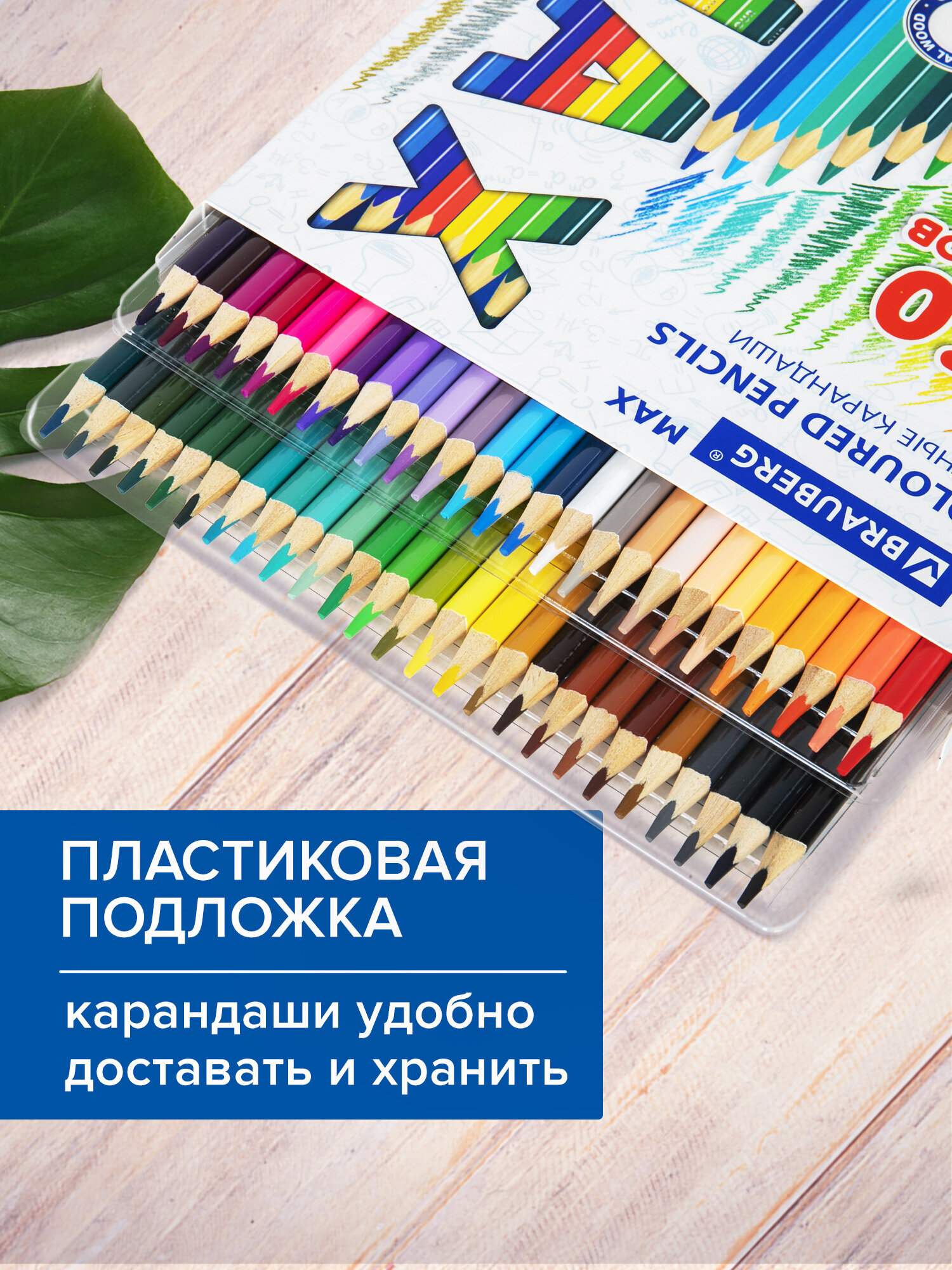 Карандаши цветные Brauberg 50 шт. - фото 6