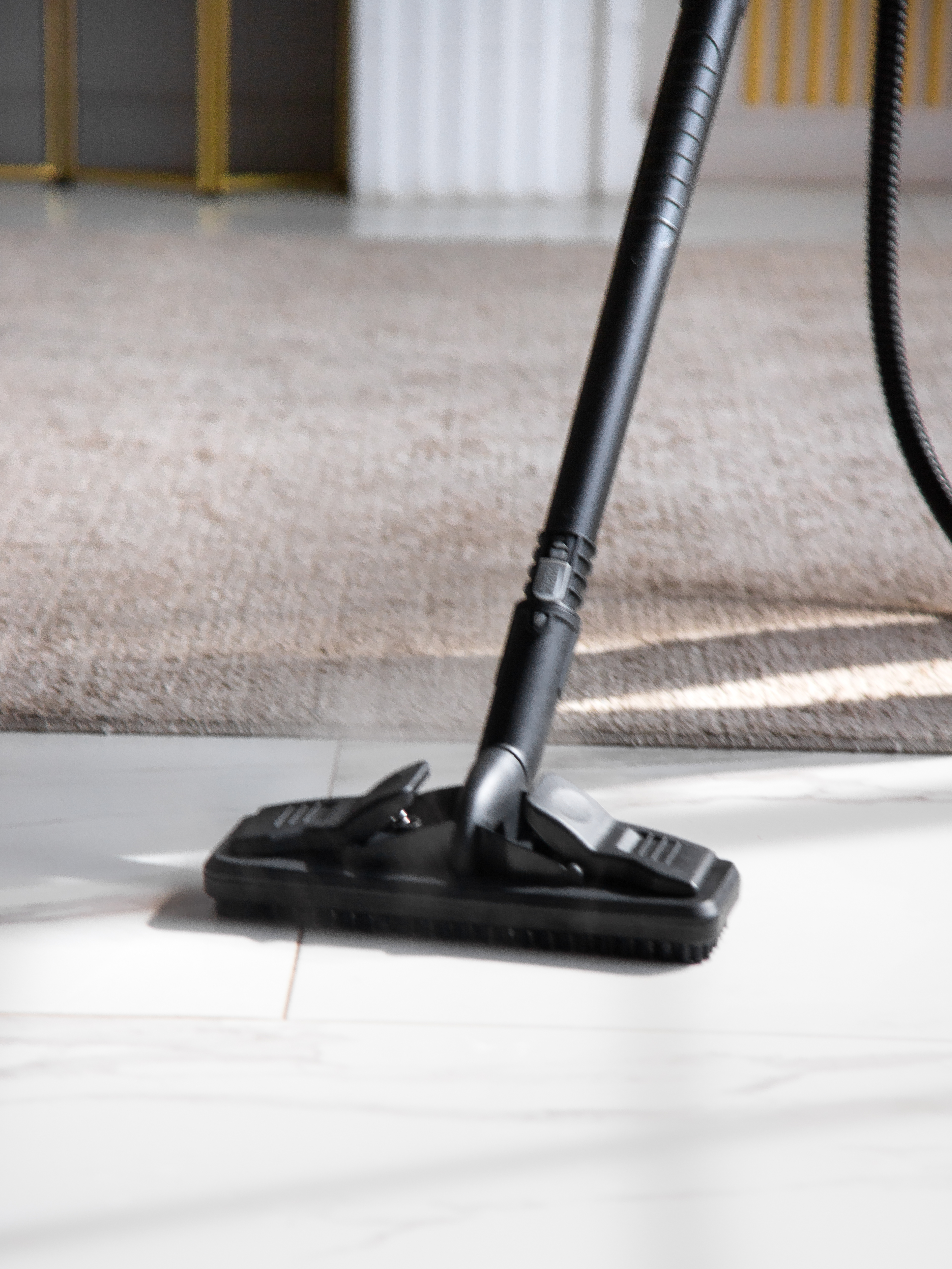 20-в-1 steam cleaner plus Ramicom RSC2000 - фото 34