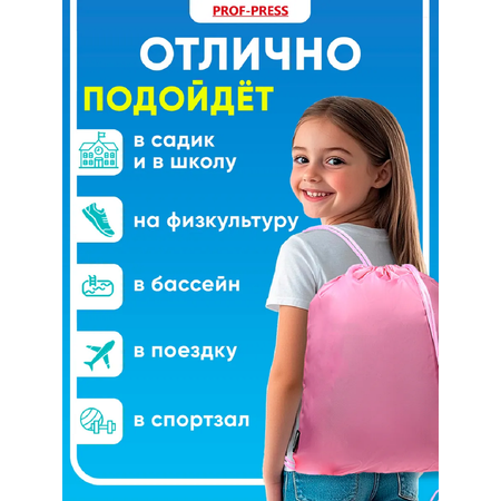 Мешок для обуви Prof-Press