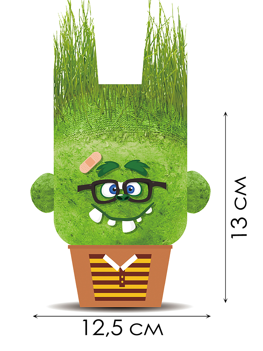 Набор для выращивания Hape - фото 2