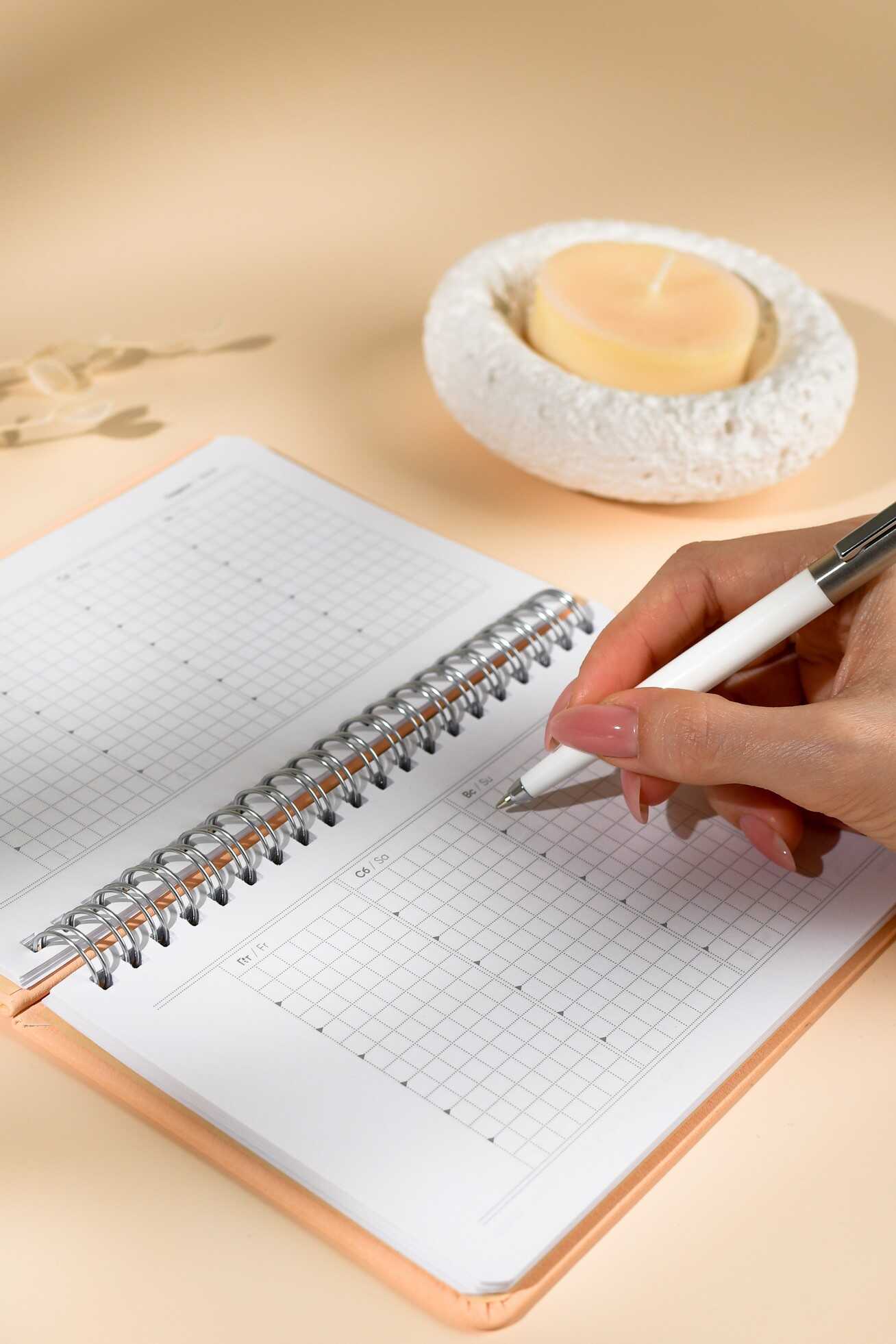 Ежедневник Феникс + ESCALADA 68 лист. - фото 6