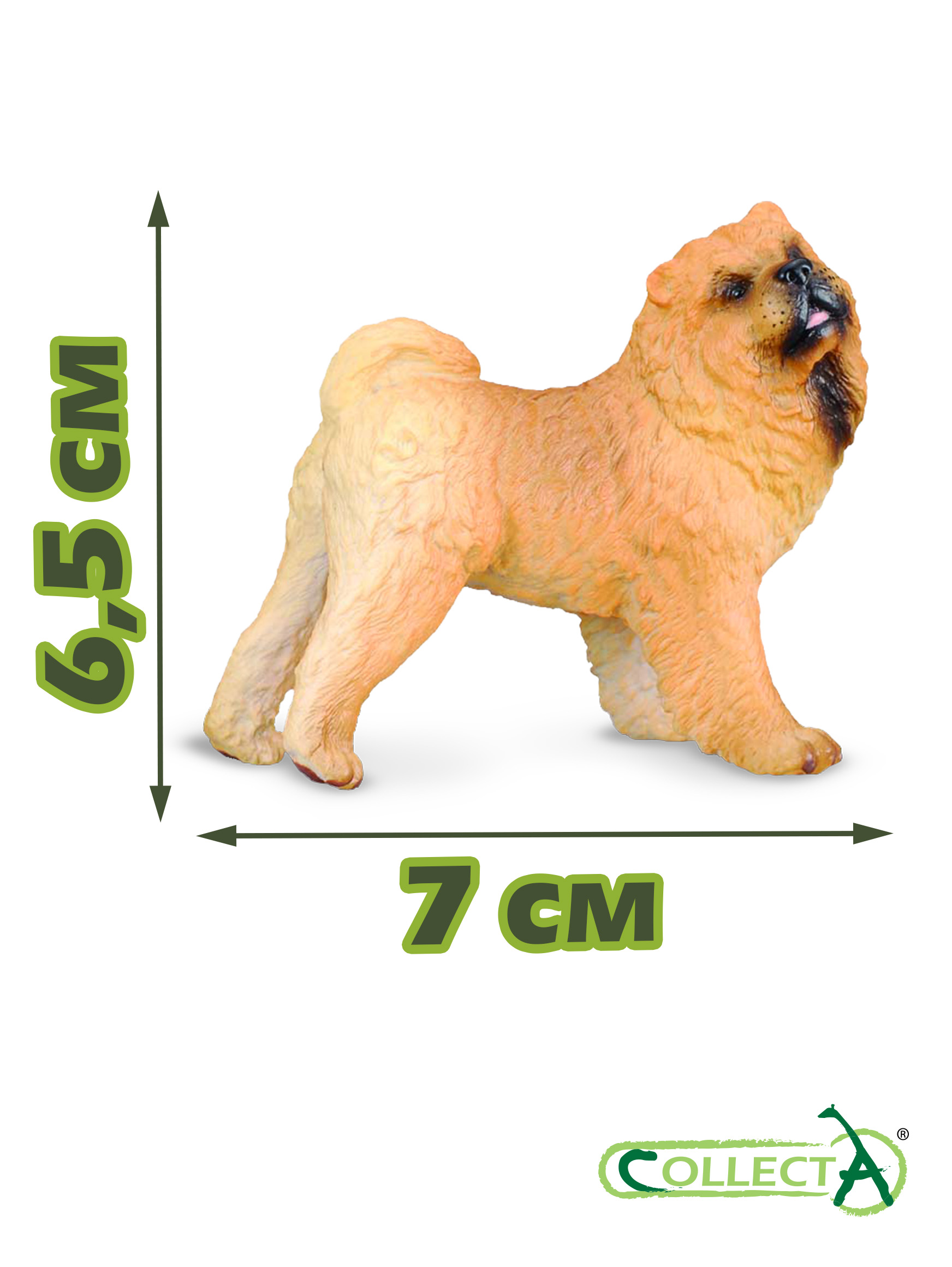 Фигурка Collecta Собака Чау-чау - фото 2