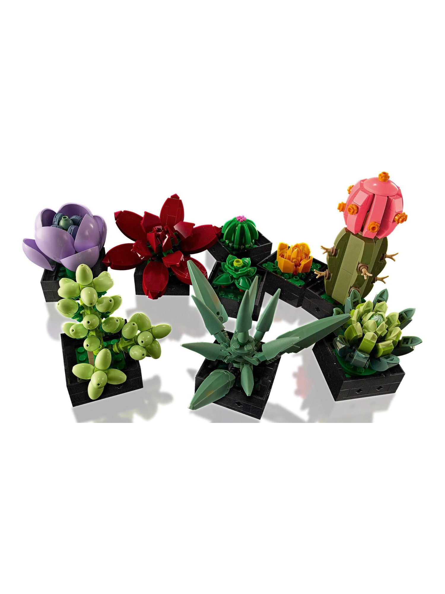 Конструктор LEGO Icons Суккуленты 771 дет. - фото 7