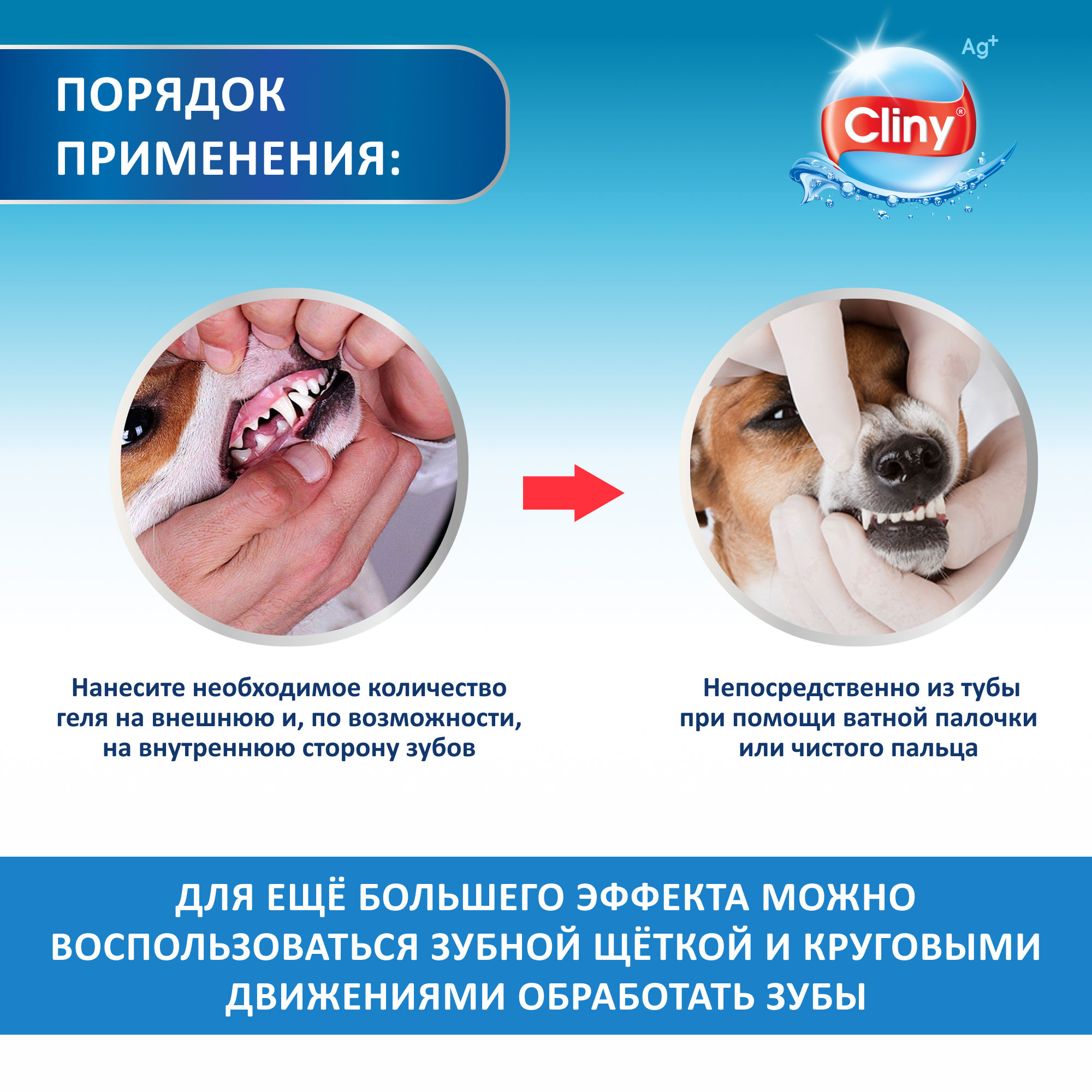 Гель зубной гель для кошек и собак Cliny 75мл 53260 - фото 9