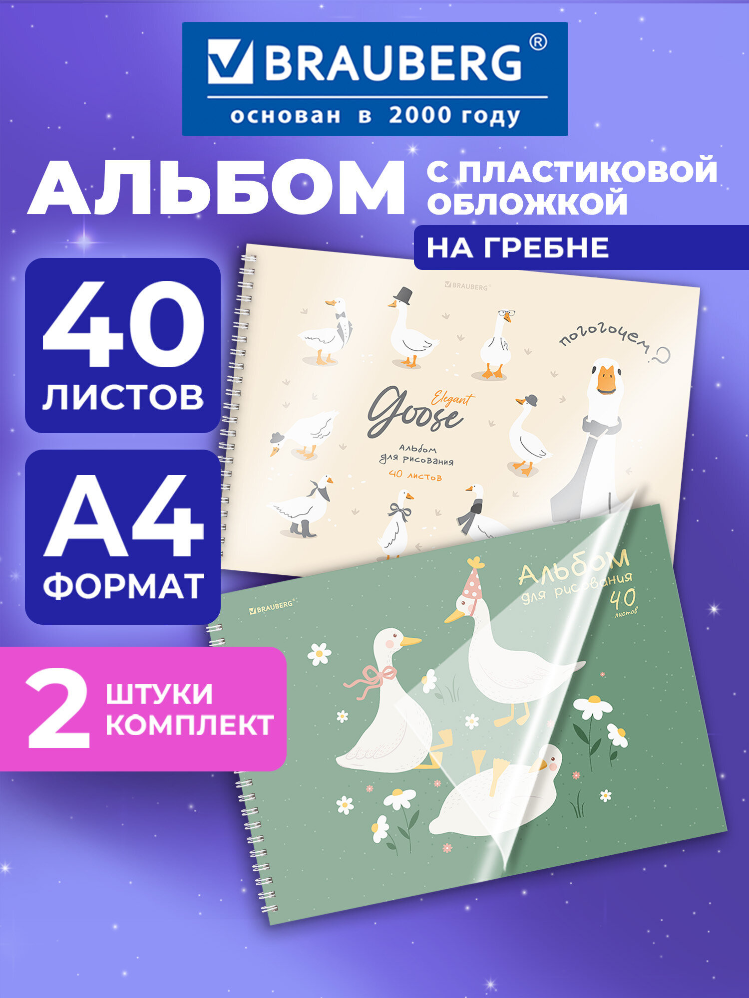 Альбом Brauberg А4 40 лист. 2 шт. - фото 1