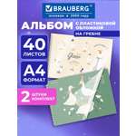Альбом Brauberg А4 40 лист. 2 шт.
