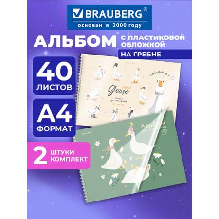 Альбом Brauberg А4 40 лист. 2 шт.