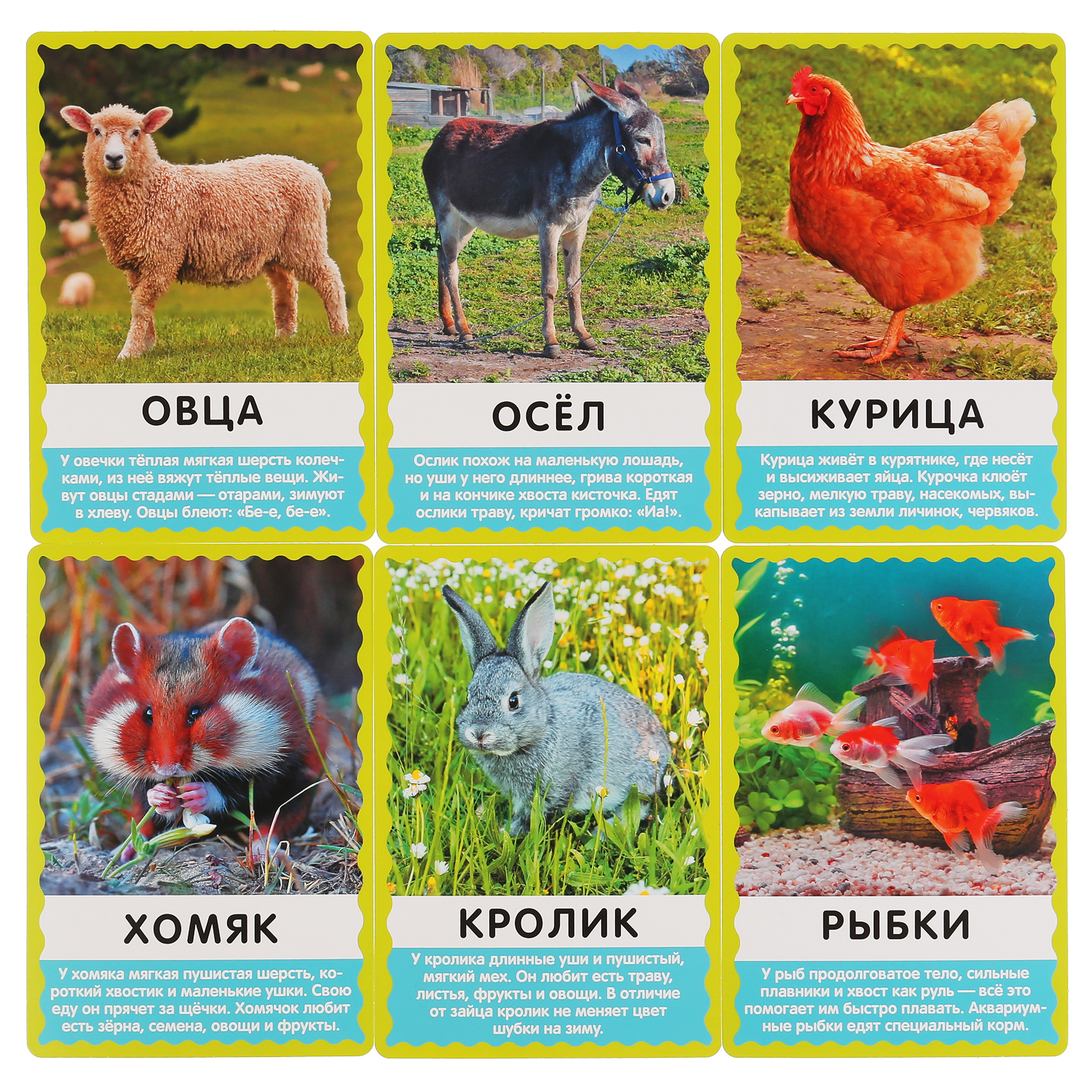Настольная игра Умные игры Карточки Домашние животные - фото 4