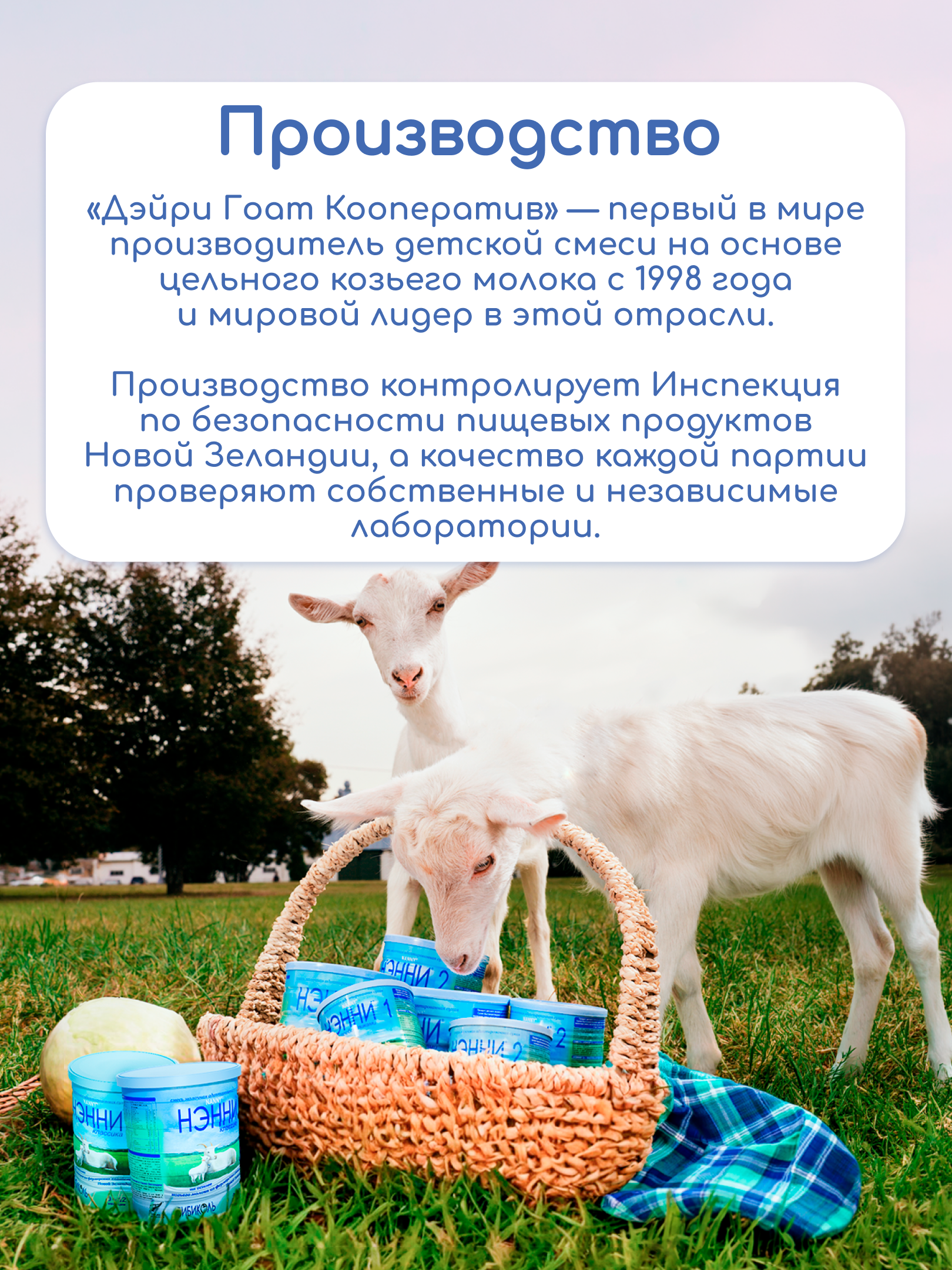 Смесь молочная Бибиколь Нэнни 1 на основе козьего молока 400г с 0-6месяцев - фото 5