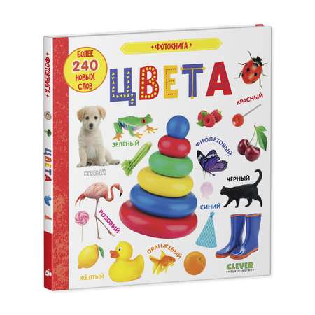 Книга Clever Издательство Первые знания. Фотокниги. Цвета