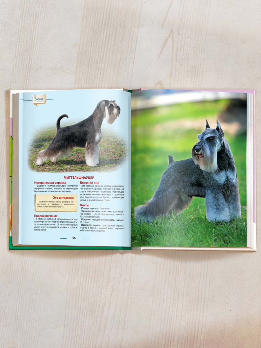 Книга Проф-Пресс Энциклопедия для детей. Собаки - фото 5