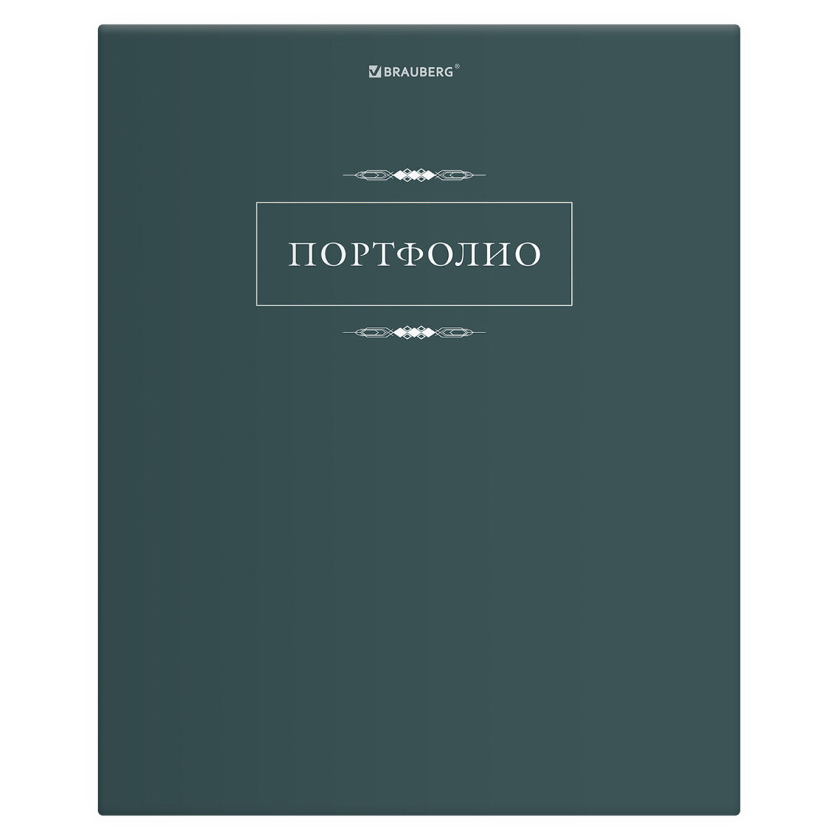 Портфолио школьника Brauberg папка А4 на кольцах 20 файлов для девочки и мальчика - фото 2