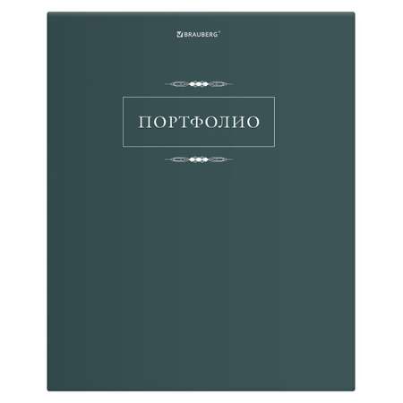 Портфолио школьника Brauberg папка А4 на кольцах 20 файлов для девочки и мальчика