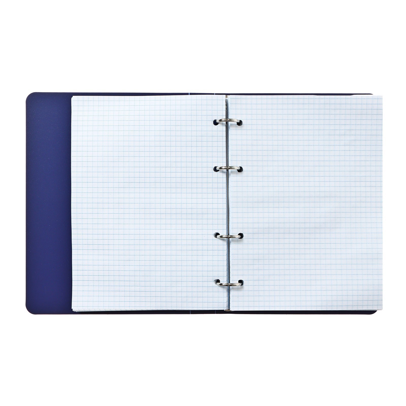 Тетрадь Calligrata клетка - фото 9