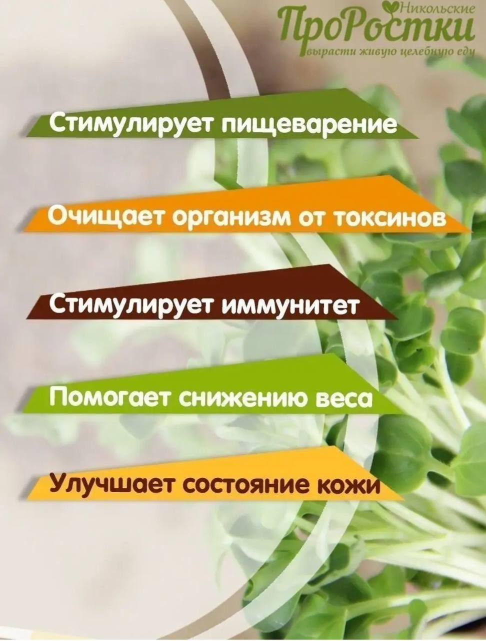 Семена для микрозелени MegaMedia дайкон - фото 2