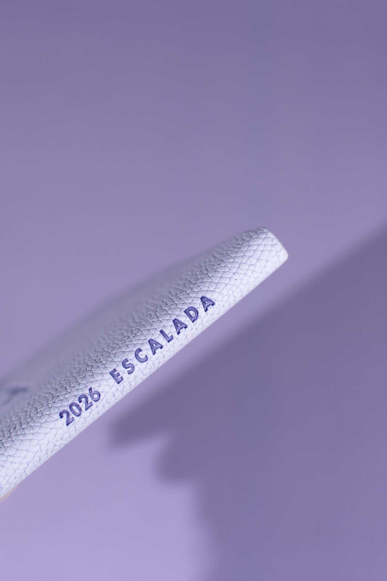 Ежедневник Феникс + ESCALADA 64 лист. - фото 4