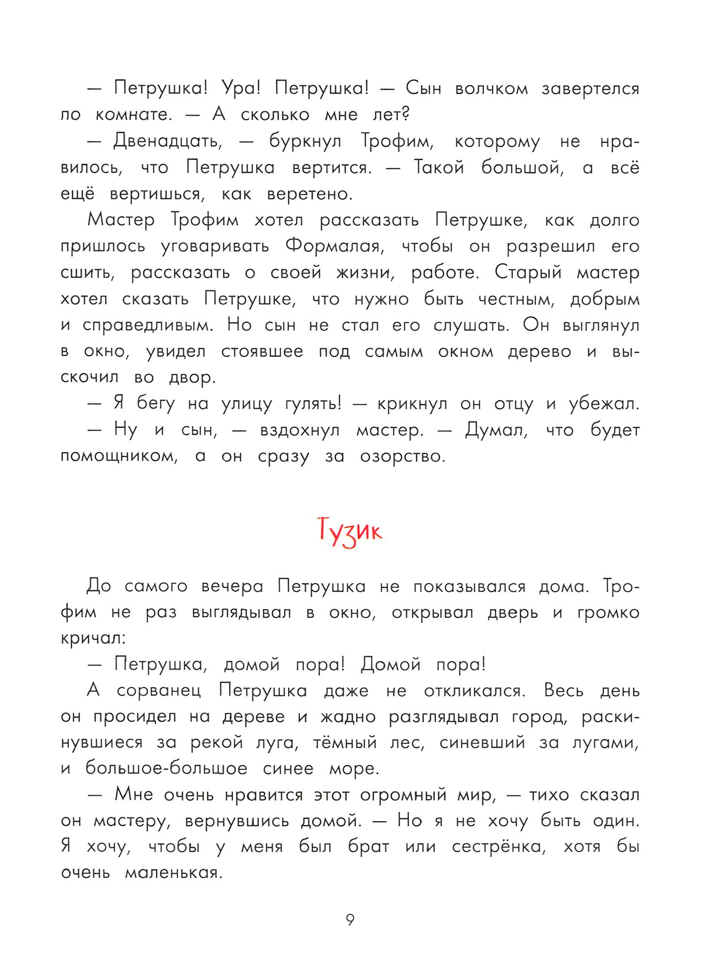 Книга Качели Приключения Петрушки - фото 9