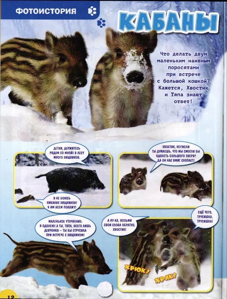 Набор журналов ИД Лев Детские журналы - фото 6