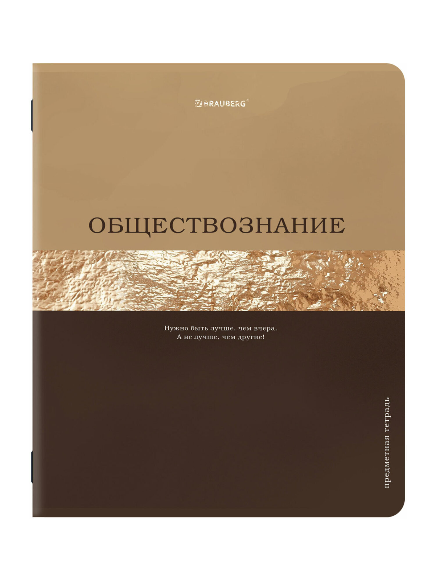 Тетрадь Brauberg 48 лист. 12 шт. - фото 15