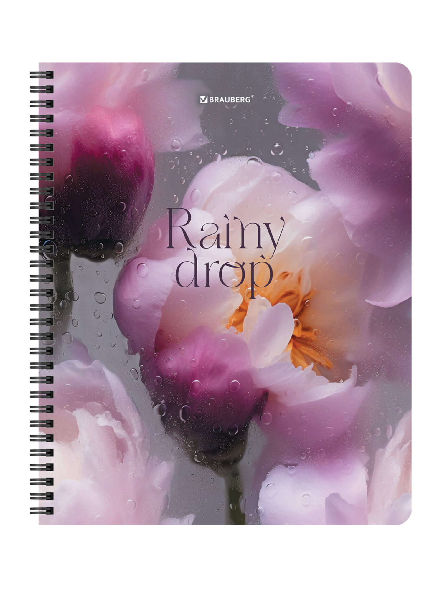 Общая тетрадь Brauberg клетка 96 лист. 4 шт. - фото 14