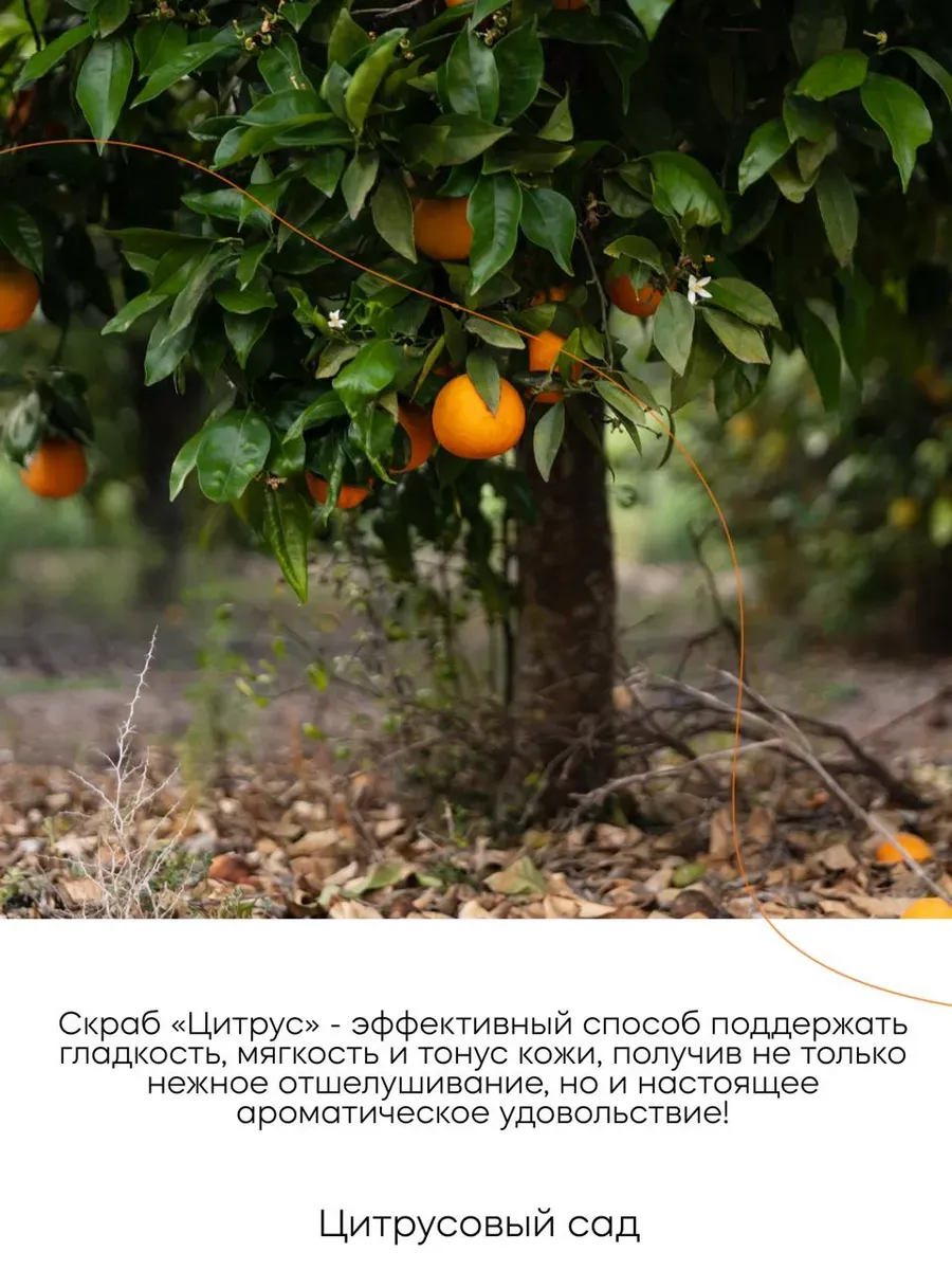 Скраб Краснополянская косметика Цитрусовый сад 150 мл 1 шт. - фото 5