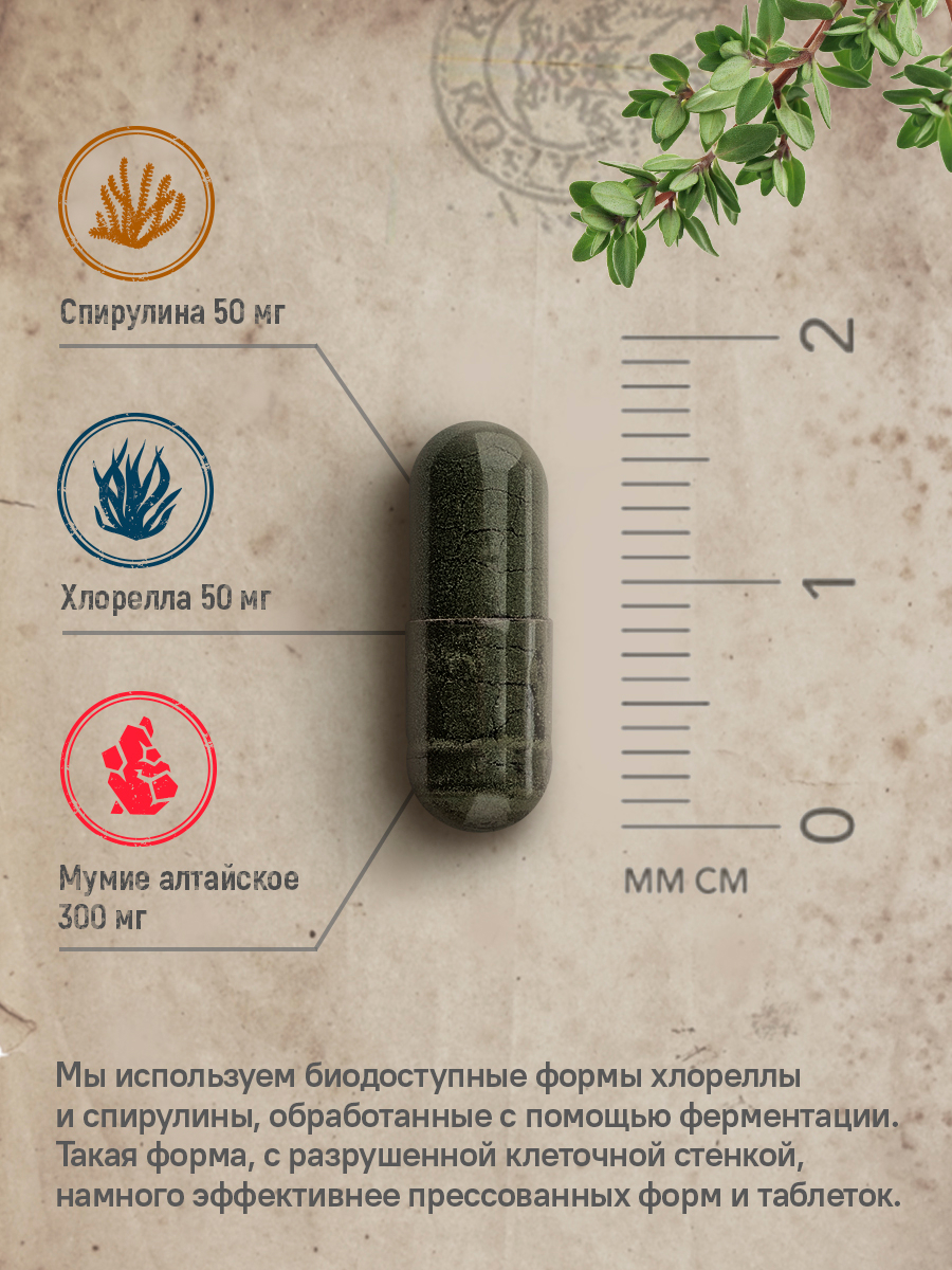 Набор MedCraft Мумие со спирулиной и хлореллой - фото 4