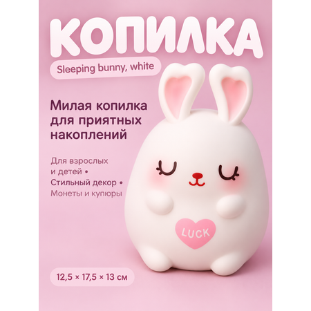 Копилка для денег iLikeGift для монет и купюр