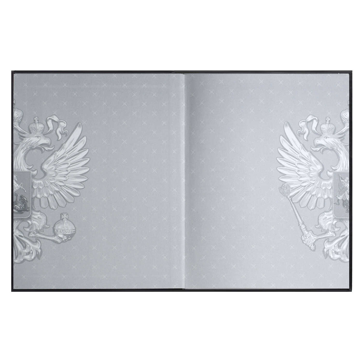Дневник Феникс + Герб А5+ 48л - фото 3