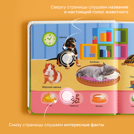 Книга нажималка говорящяя Всё о животных маленькая