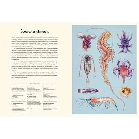 Книга МАХАОН Океанариум. Энциклопедии