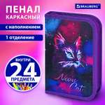 Пенал Brauberg