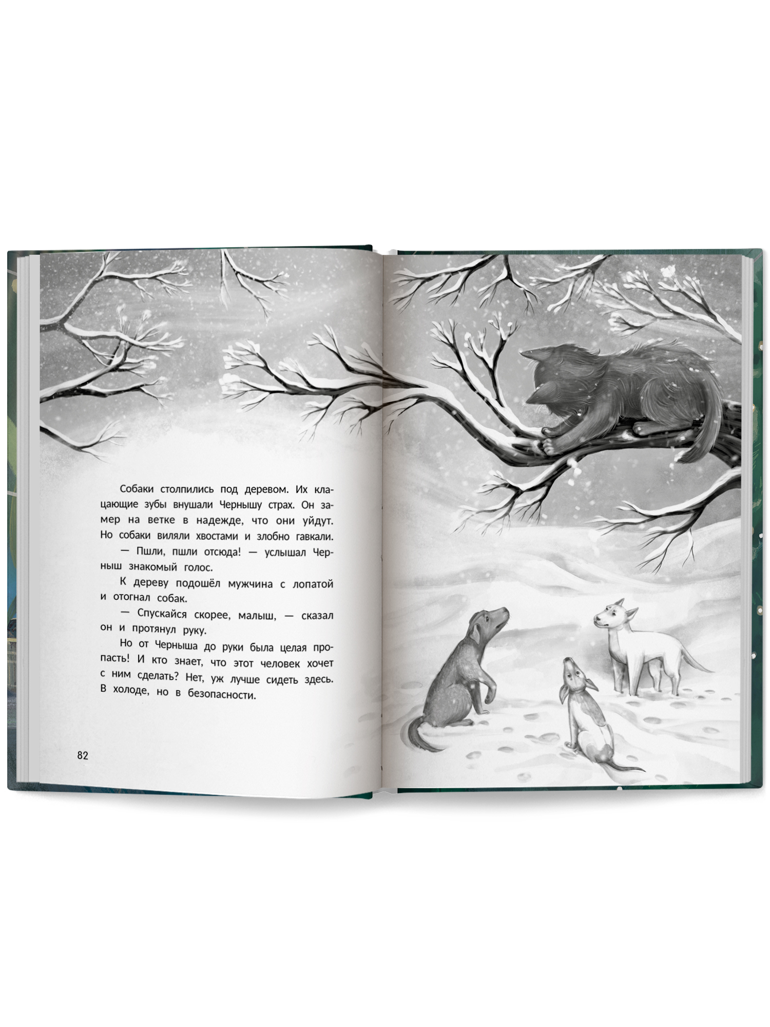 Книга Феникс Премьер Счастье за дверью - фото 10
