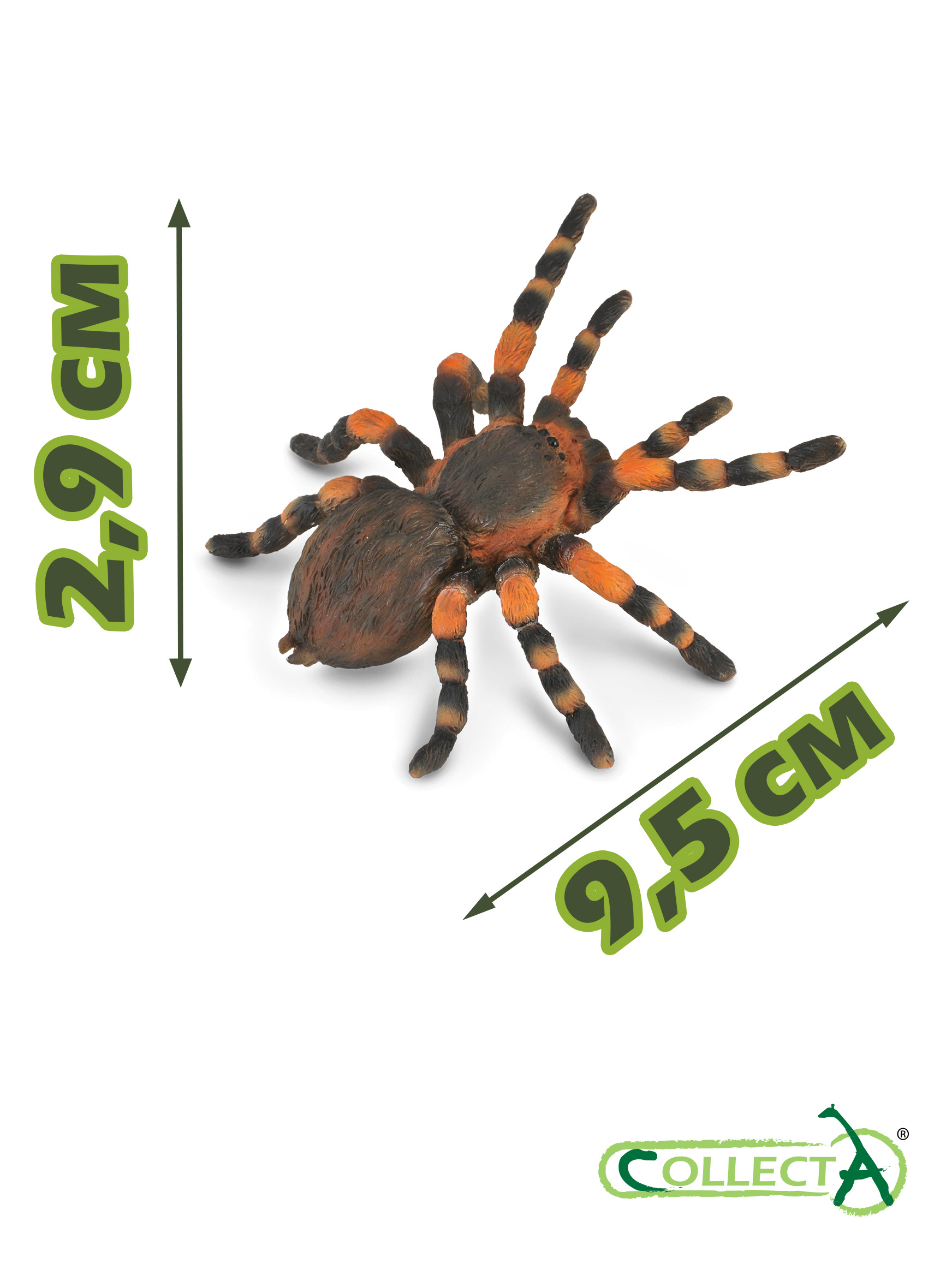 Фигурка Collecta Мексиканский тарантул - фото 2