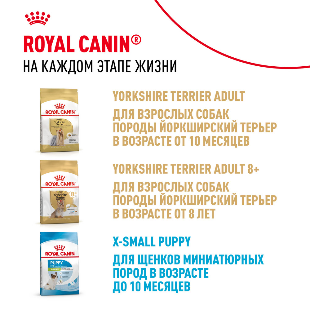 Корм для щенков ROYAL CANIN Junior породы йоркширский терьер 1.5кг - фото 7
