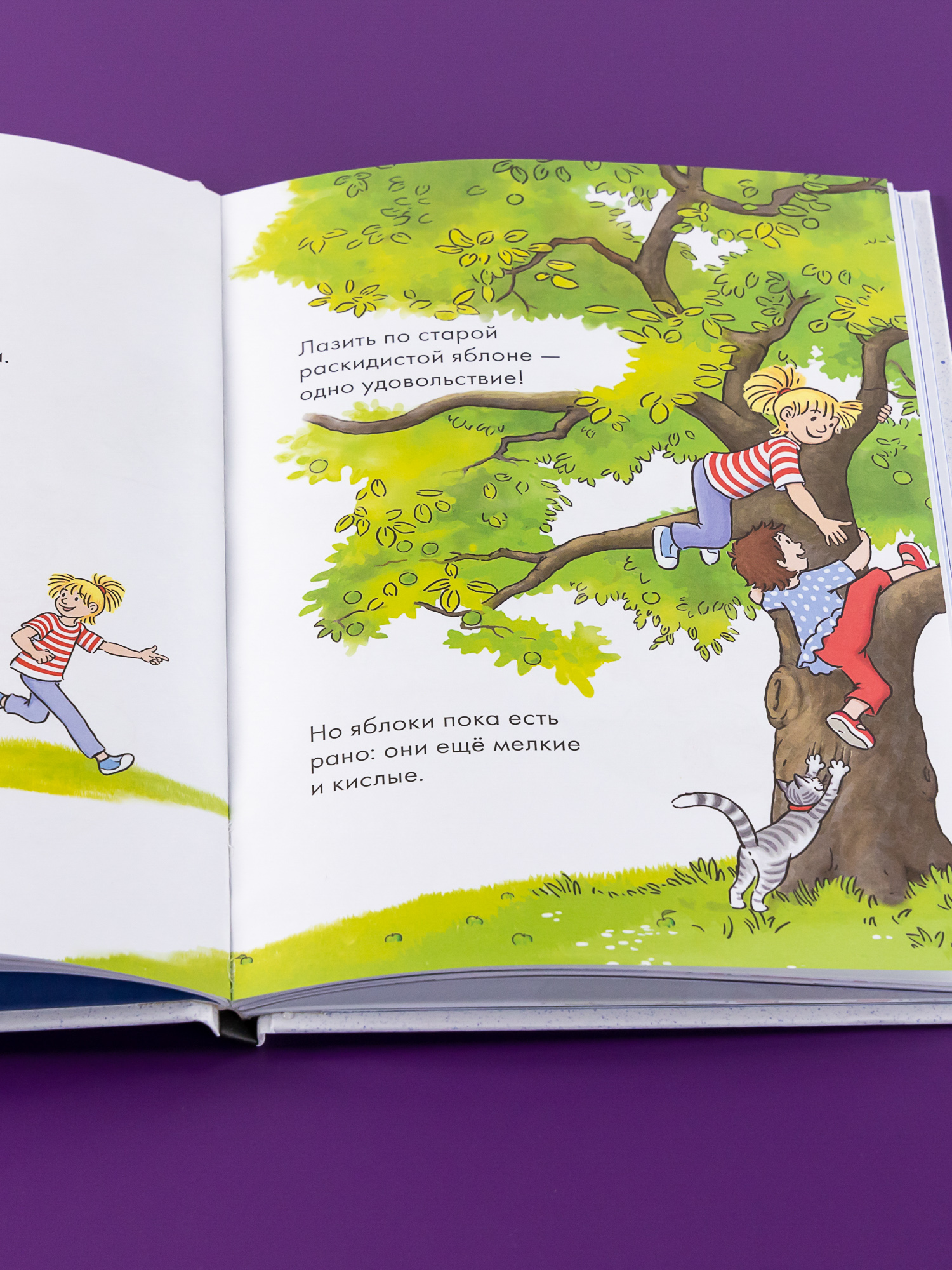 Книга Альпина. Дети Комиксы с Конни Звёзды дружбы - фото 9