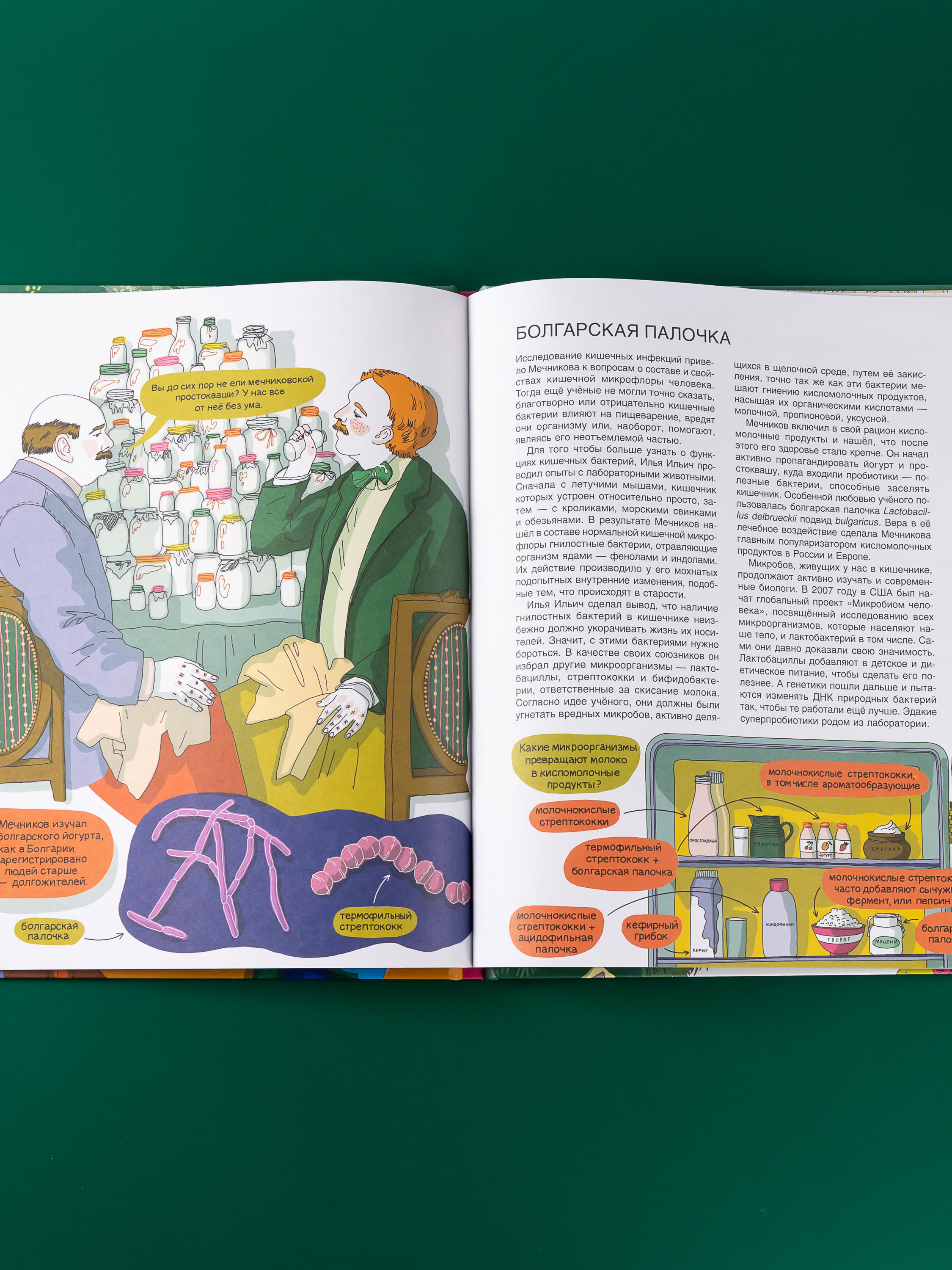 Книга Альпина. Дети Мир биолога Мечникова : Как разглядеть в микроскоп целый мир - фото 6
