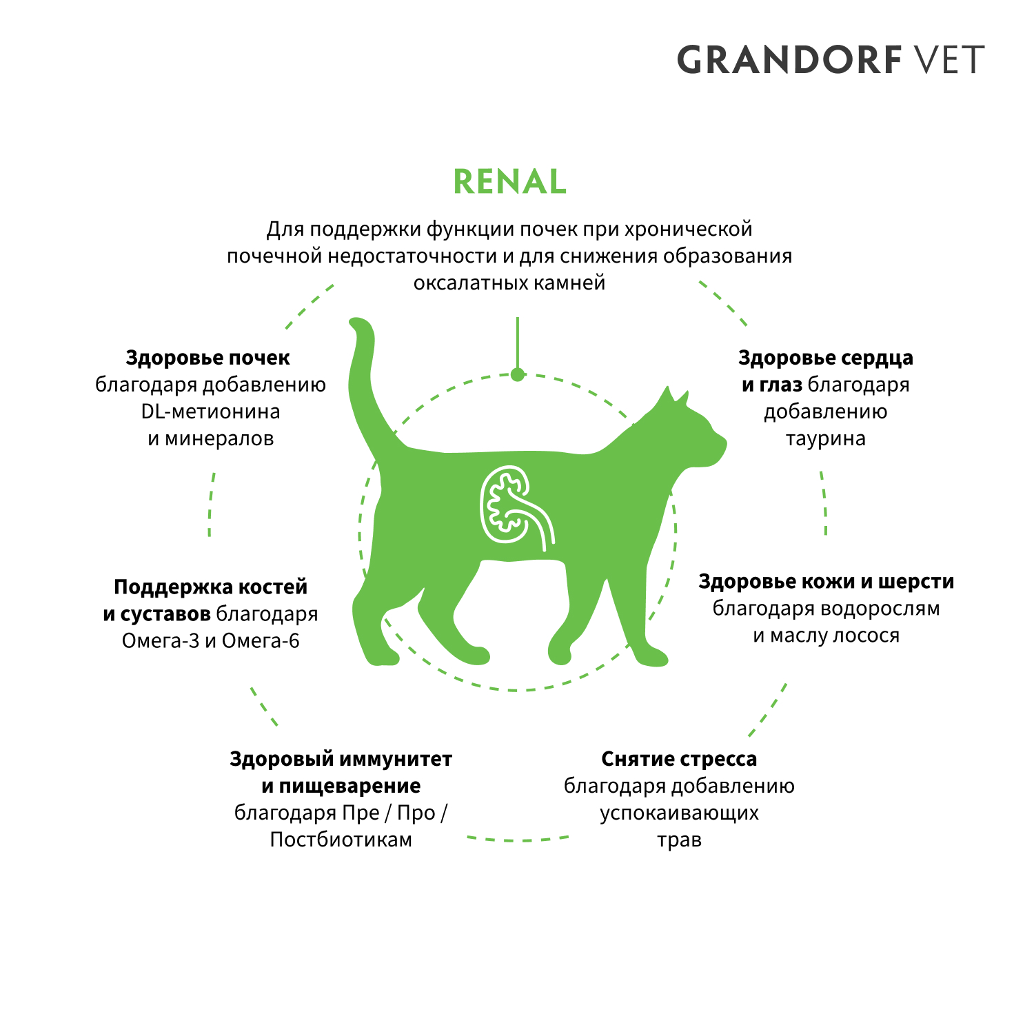 Корм для кошек GRANDORF для поддержки функции почек при ХБН 400г - фото 2