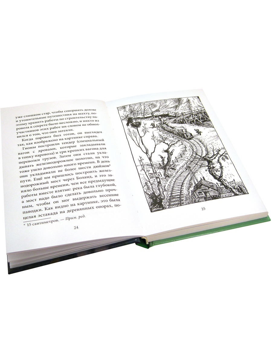 Комплект из 2-х книг/ Добрая книга / Гномы Боландского леса+ Волшебник/ Денис Уоткинс-Питчфорд - фото 6