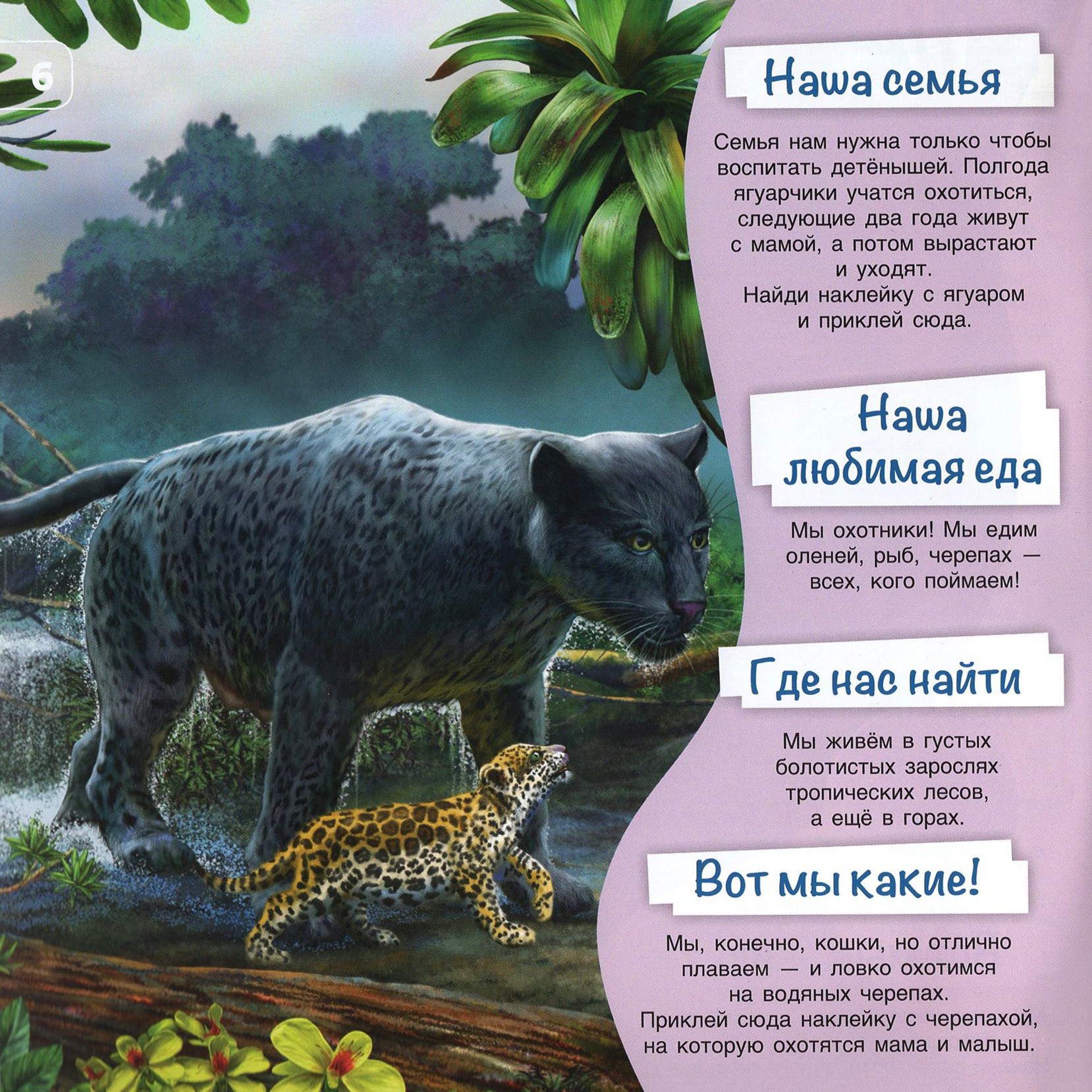 Книга Лабиринт Познакомимся поближе! Жители джунглей - фото 3