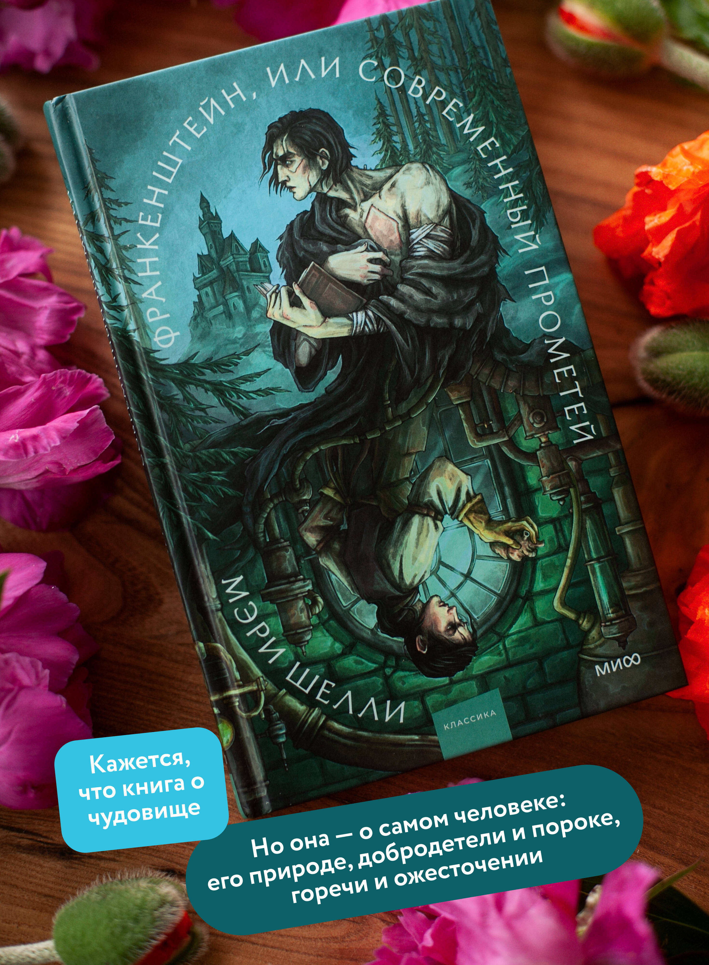 Книга Миф Франкенштейн или современный Прометей. Коллекция Аны Награни - фото 2