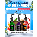Набор сиропов SPOOM Мята Лаванда Облепиха для коктейлей чая и кофе 3шт 250мл + 3 дозатора