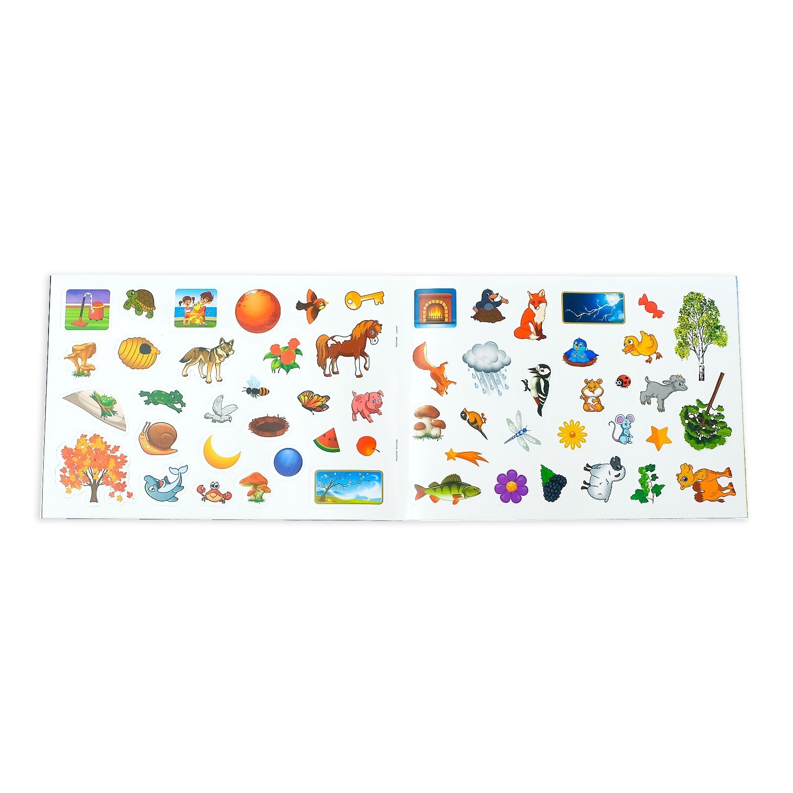 Книжка Буква-ленд 111 наклеек Окружающий мир 12 стр - фото 3