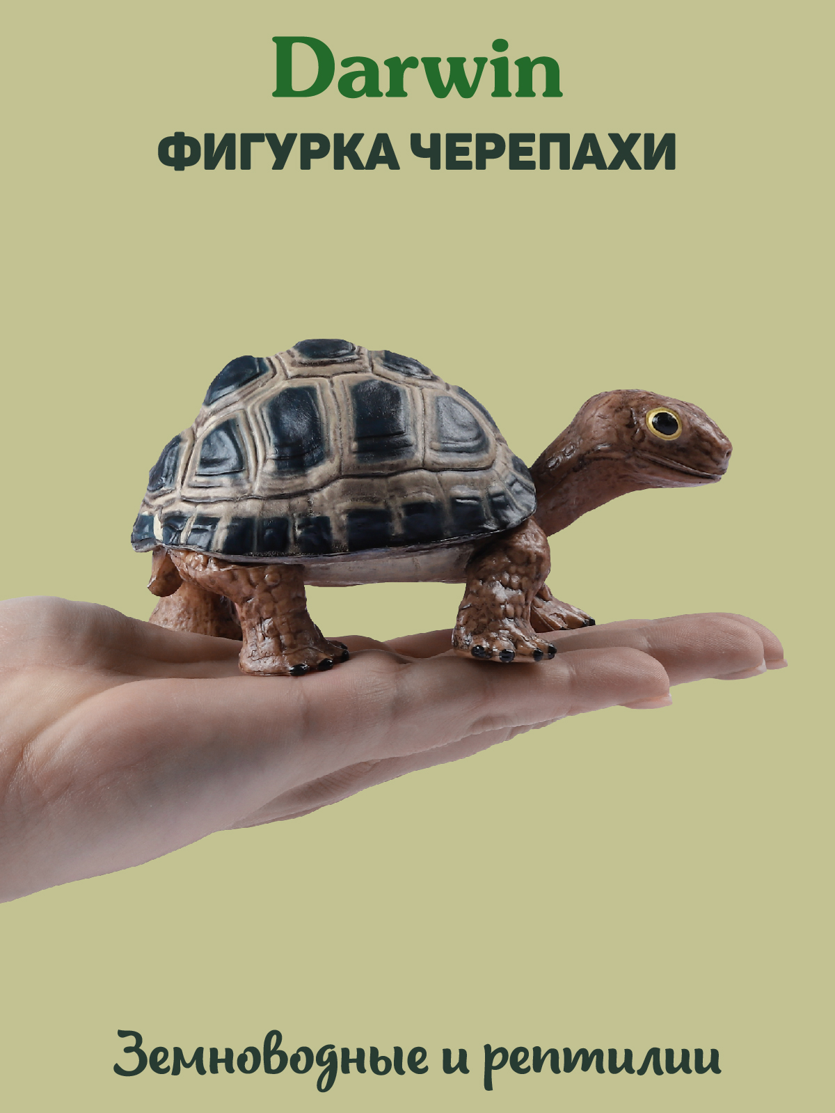 Фигурка DARWIN Животные Черепаха - фото 2